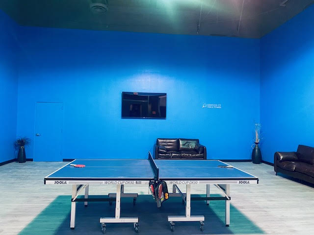 Pickleball Smash It photo 4