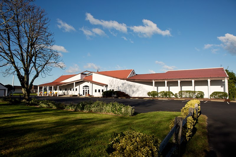 Pindar Vineyards photo 2