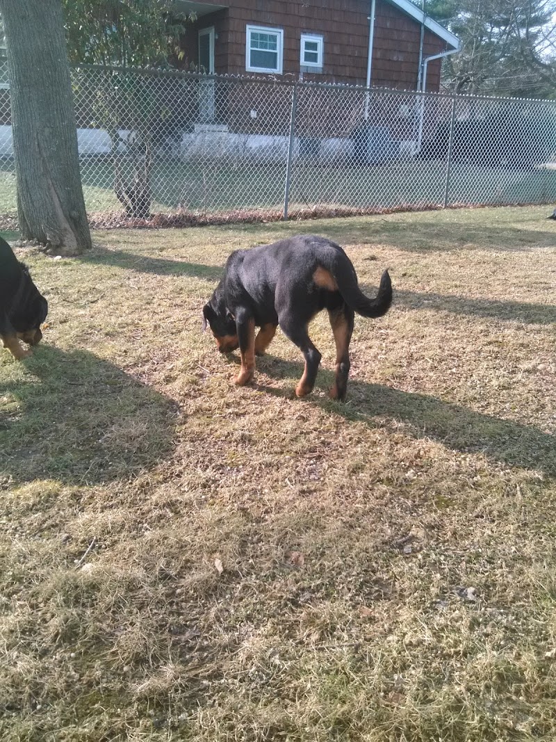 Pine Acres Park photo 4