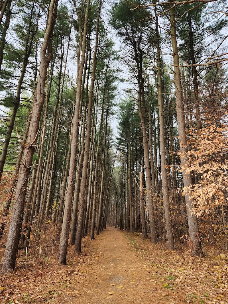 Pine Lake Trailhead, Shelton, CT photo 2
