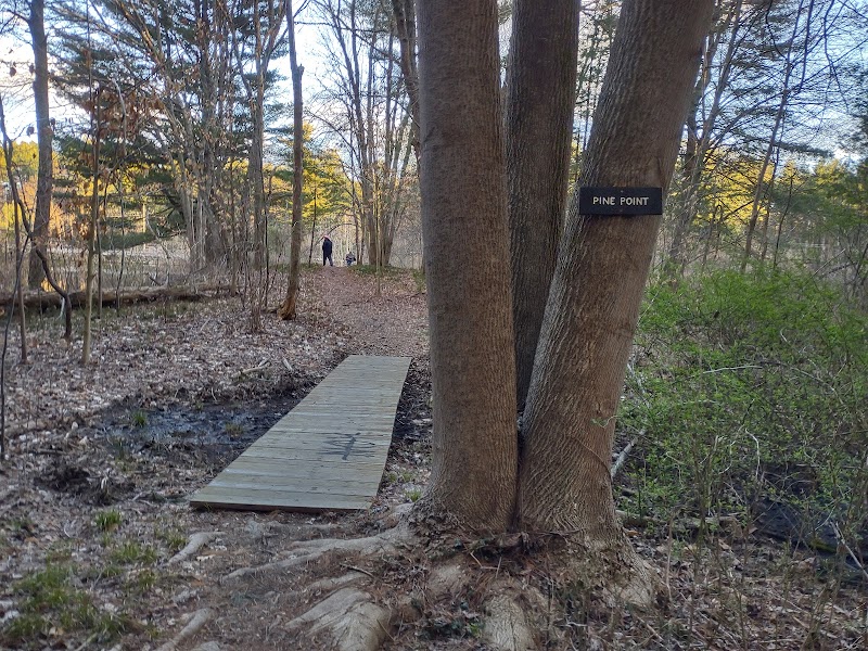 Pine Lake Trailhead, Shelton, CT photo 3