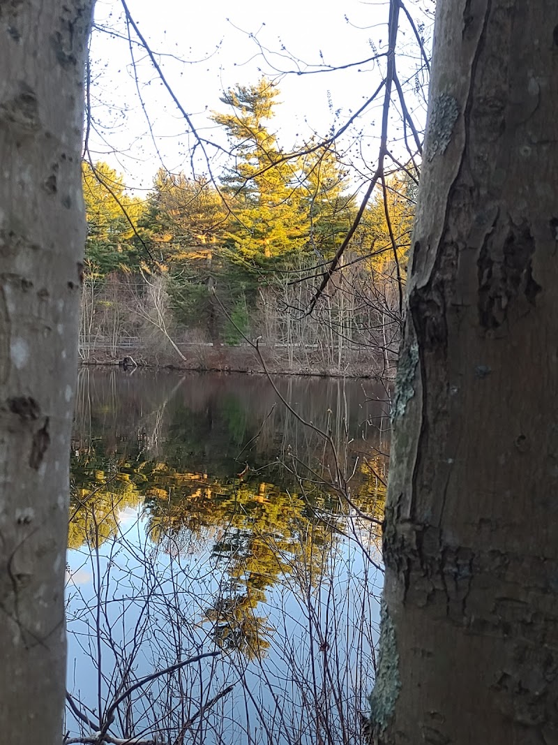 Pine Lake Trailhead, Shelton, CT photo 5