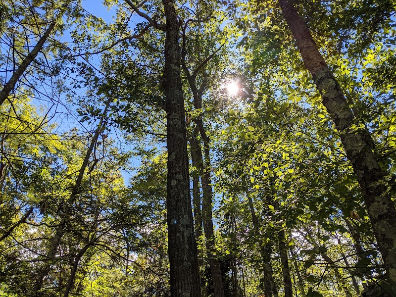 Pine Mountain Trail Head photo 4