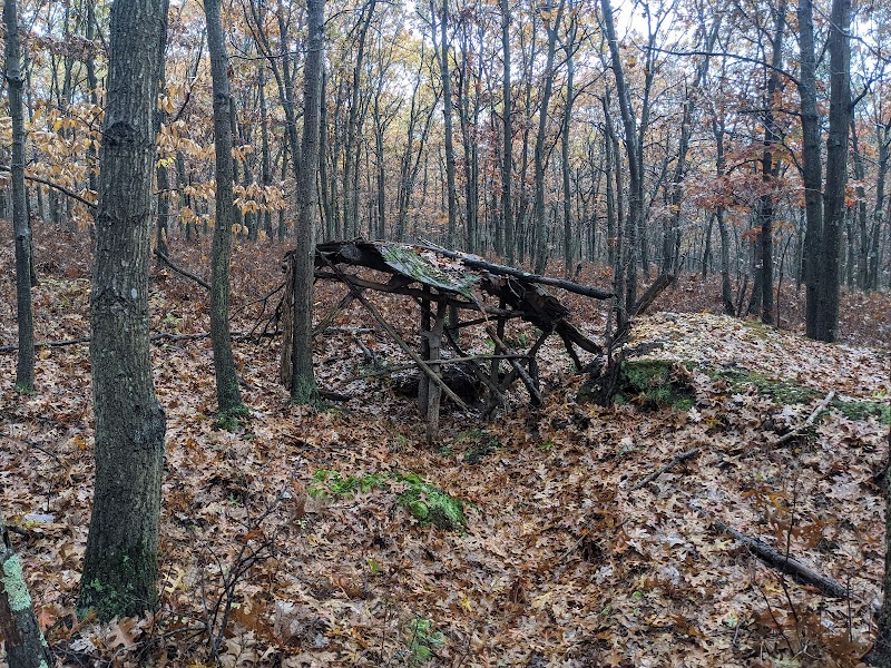 Pine Ridge Conservation Area photo 2