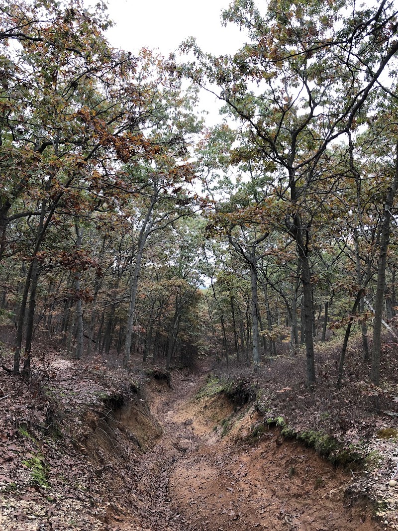 Pine Ridge Conservation Area photo 3