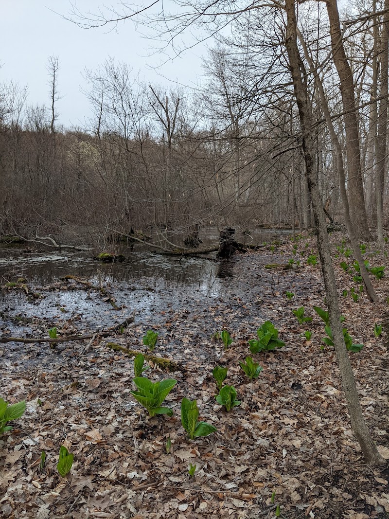 Pinecliff Audubon Sanctuary photo 2