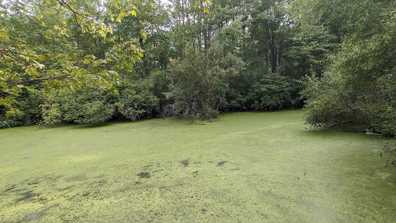 Pinecliff Audubon Sanctuary photo 3