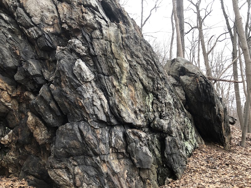 Pinecliff Audubon Sanctuary photo 4