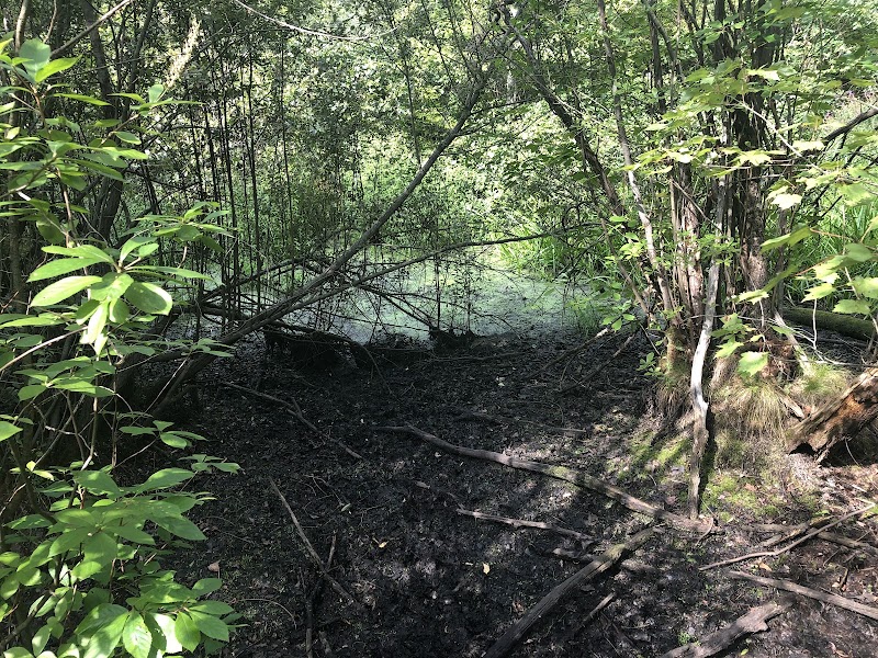 Pinecliff Audubon Sanctuary photo 5