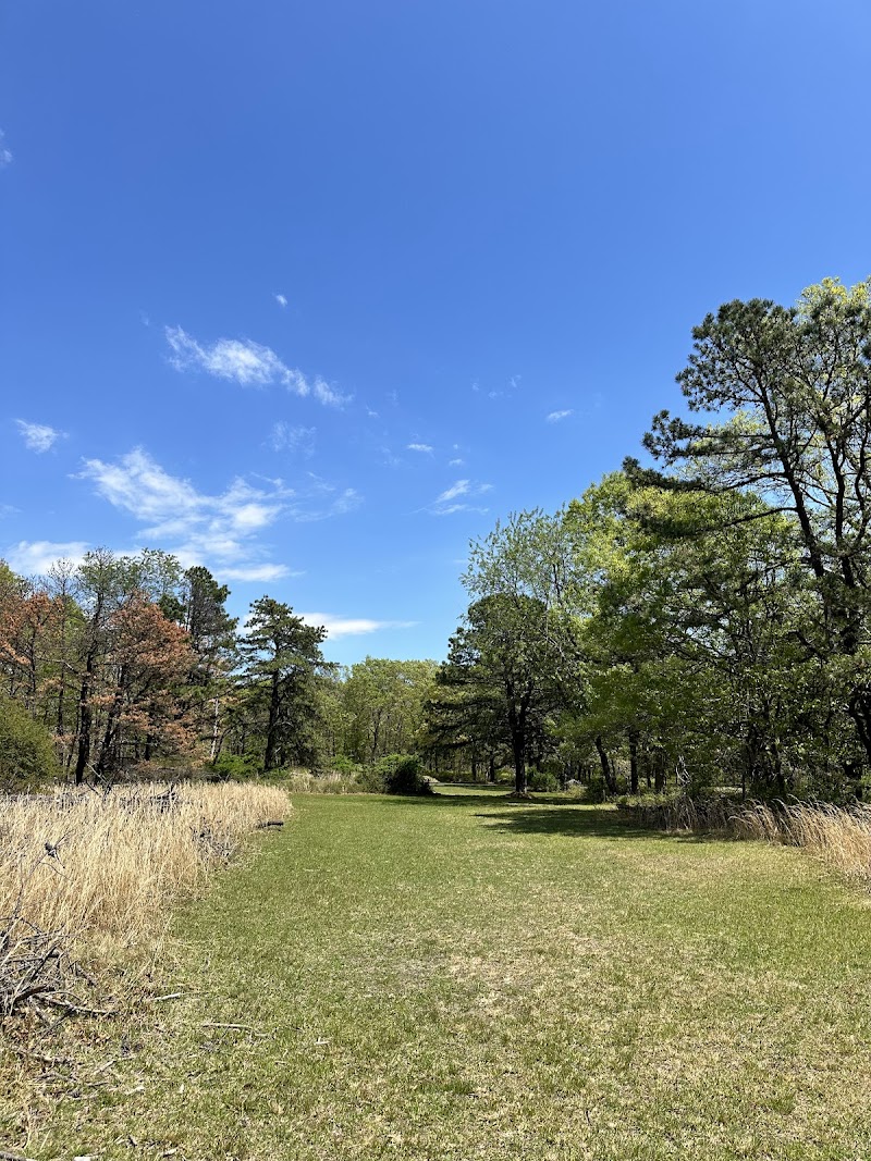 Playground at Southhaven Park photo 5