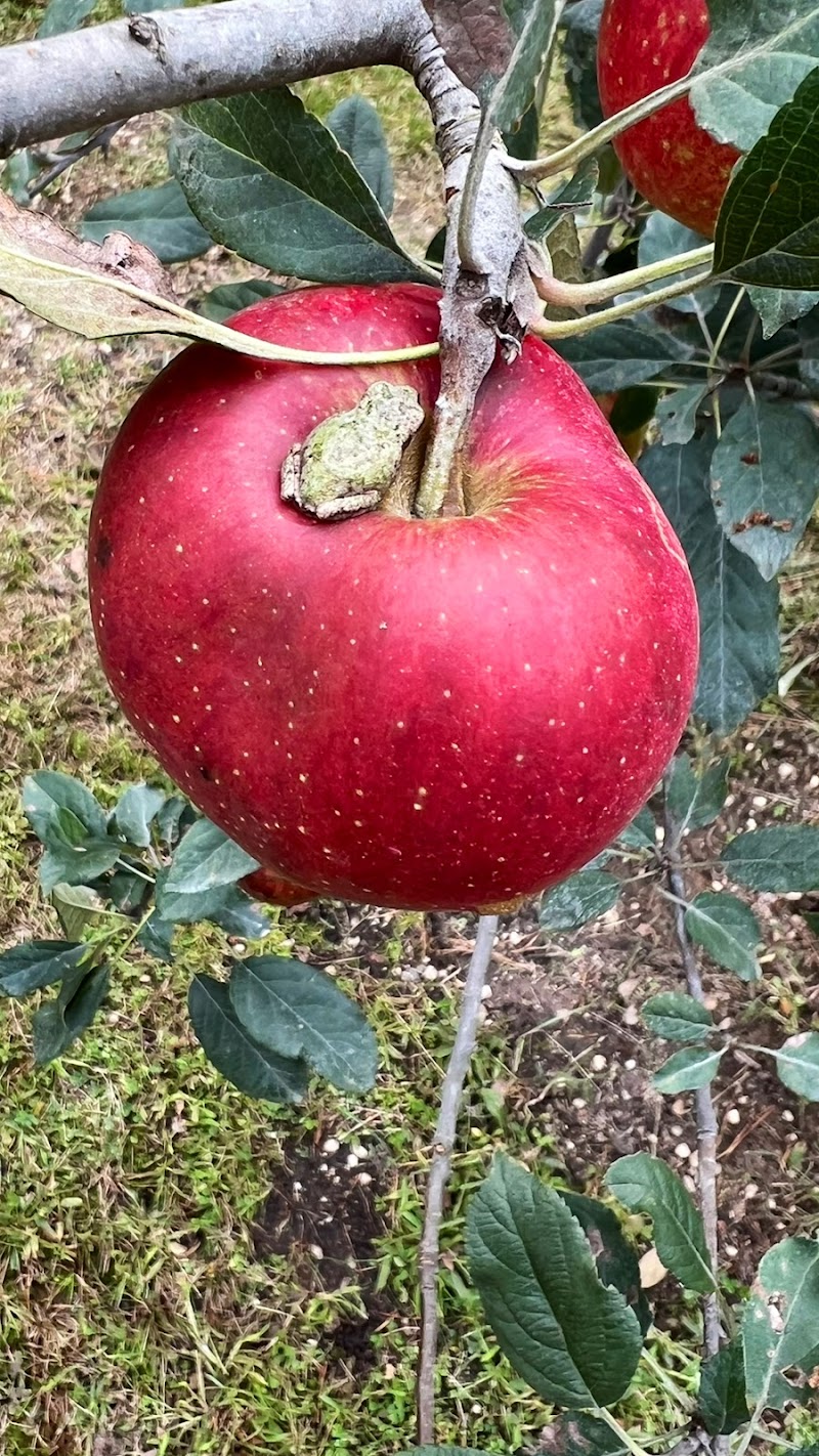Polsinelli Family Farms photo 2