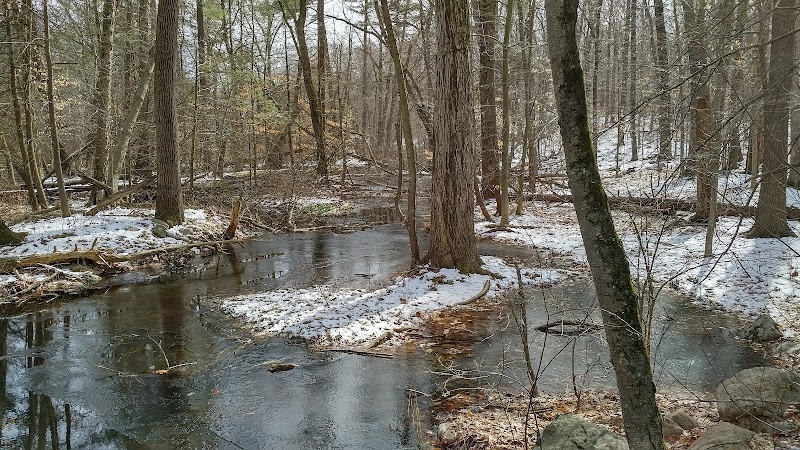 Pomerance Park photo 5