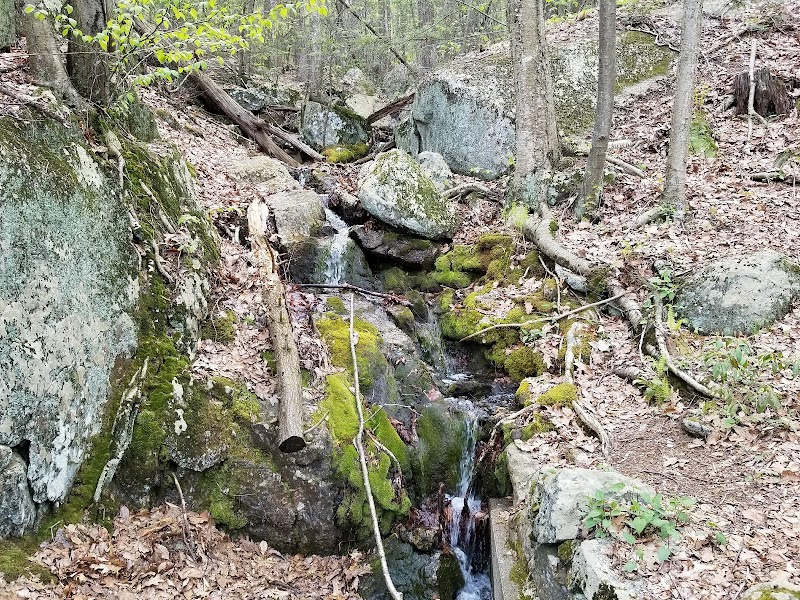 Pootatuck State Forest photo 2