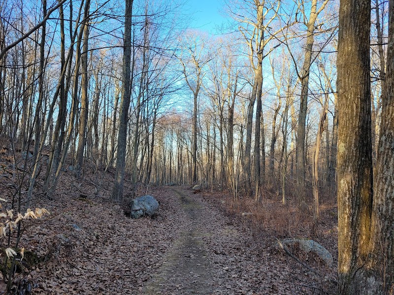Pootatuck State Forest photo 4