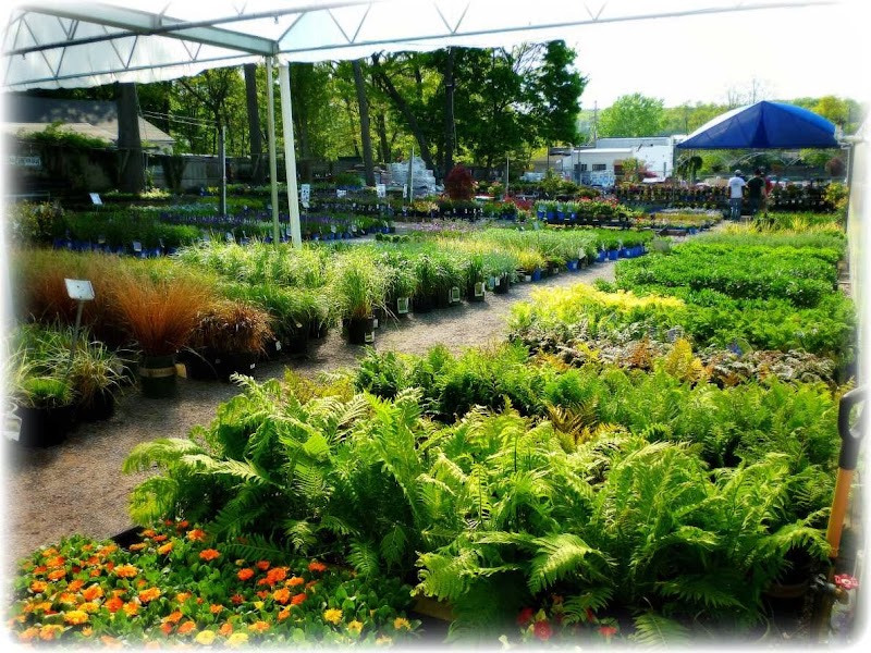 Prianti Farms Inc. photo 2
