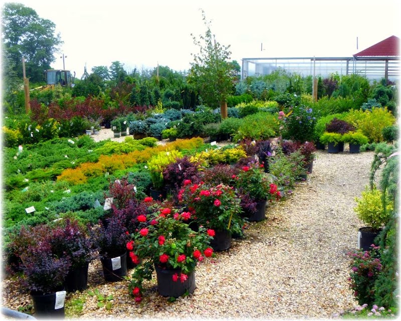Prianti Farms Inc. photo 4