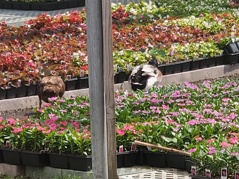 Prianti Farms Inc. photo 5