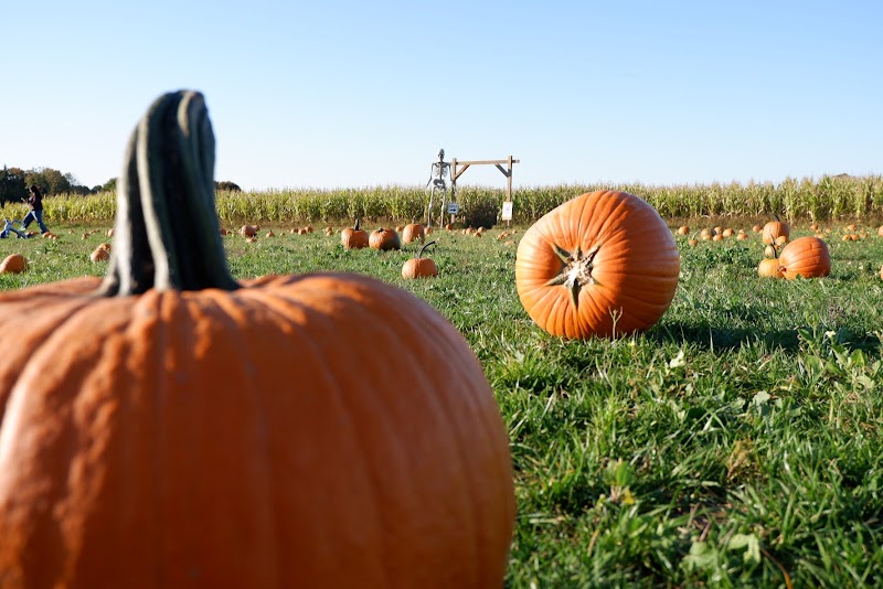 Prime Pasture Farms photo 3