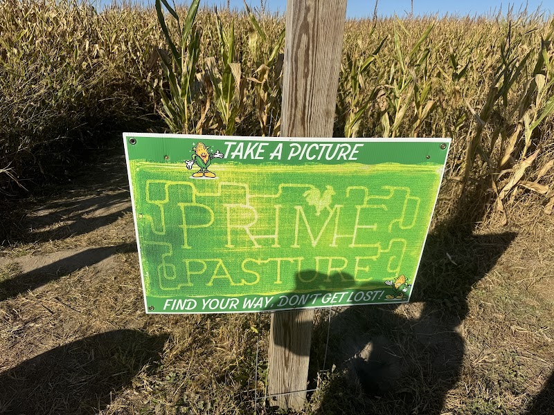 Prime Pasture Farms photo 4