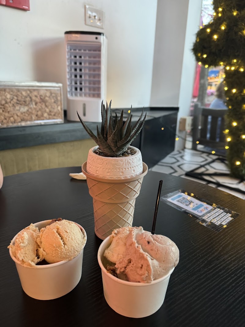 Pros & Cones photo 2
