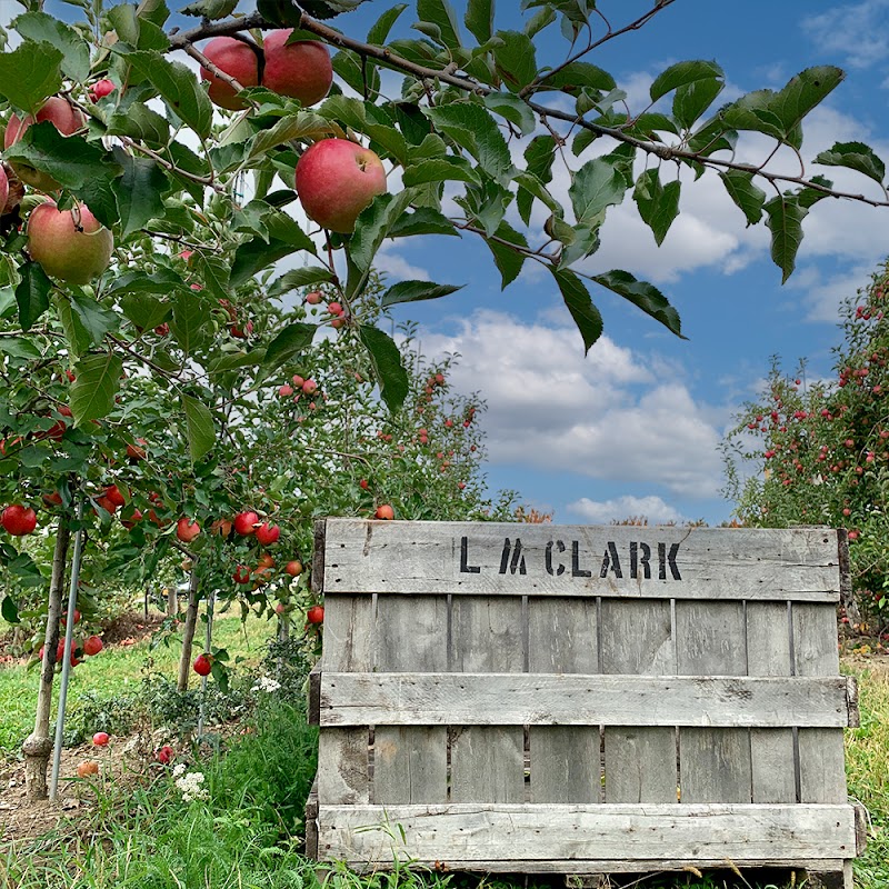 Prospect Hill Orchards-Hilltop Farm photo 5