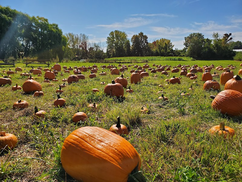 Prospect Hill Orchards-Homestead Farm photo 2