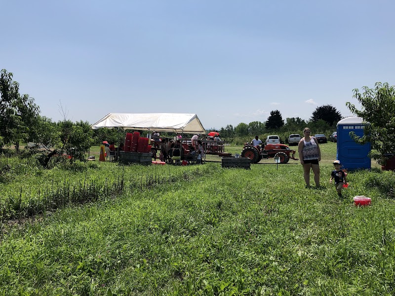 Prospect Hill Orchards-Homestead Farm photo 4
