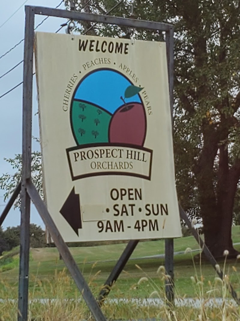 Prospect Hill Orchards-Homestead Farm photo 5