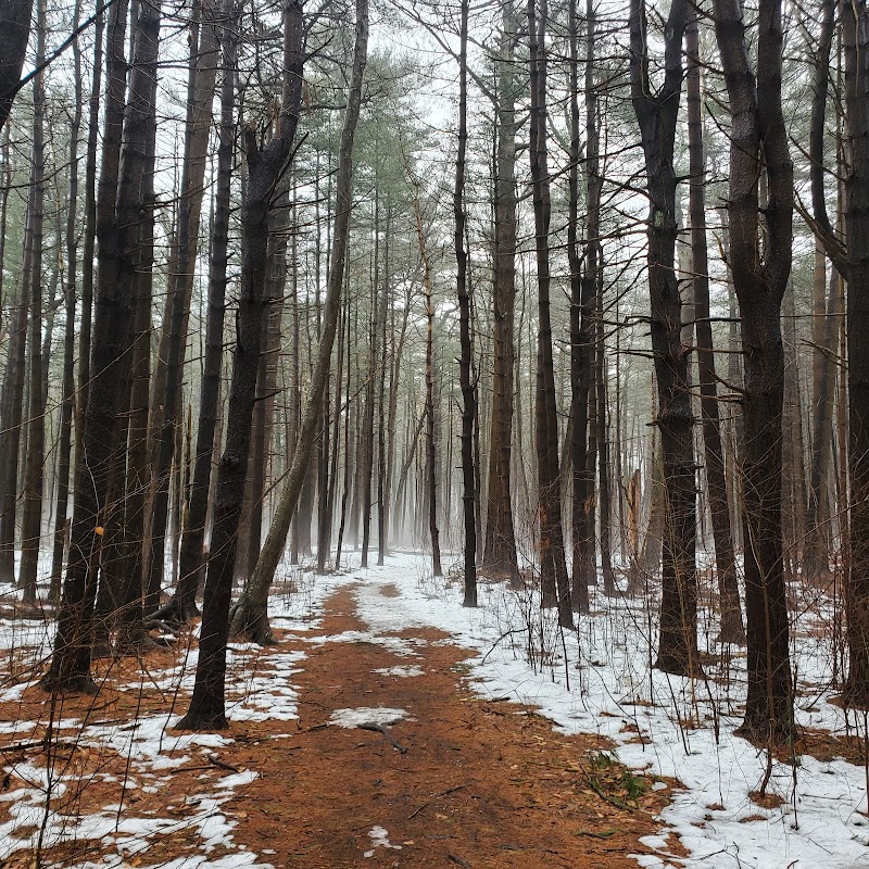 Prosser Pines Nature Preserve photo 5