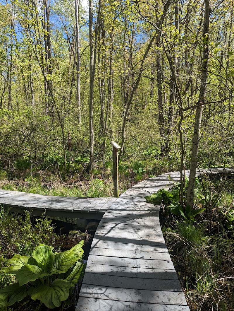 Pruyn Audubon Sanctuary photo 2