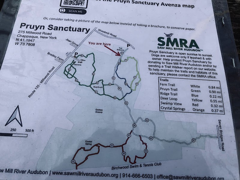 Pruyn Audubon Sanctuary photo 3
