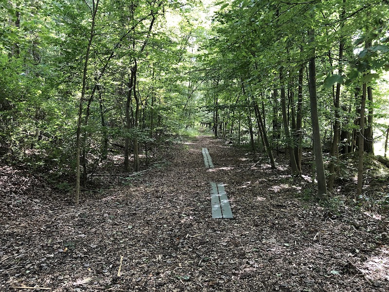 Pruyn Audubon Sanctuary photo 4