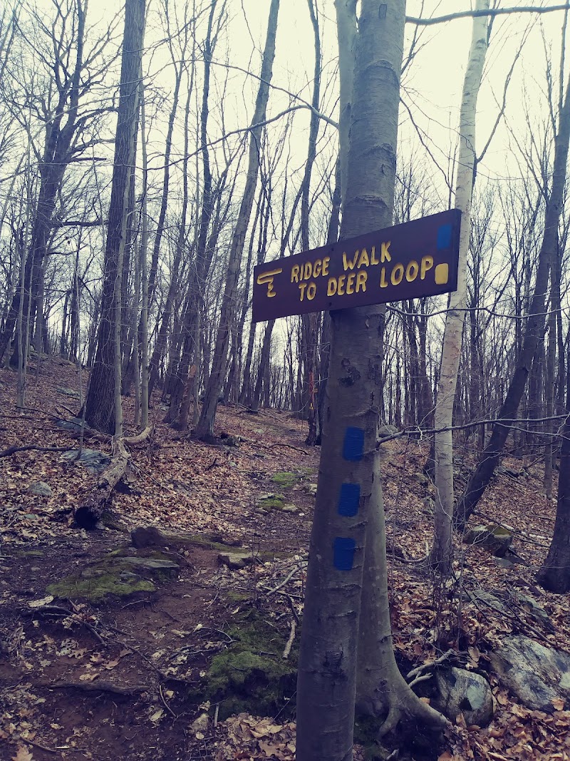 Pruyn Audubon Sanctuary photo 5