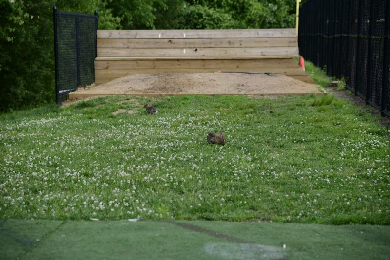 Puglio Park photo 3