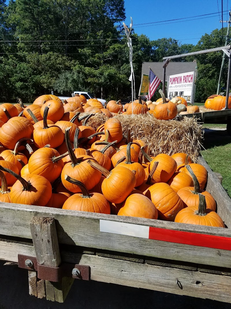 Pumpkin Patch Farm Stand photo 3