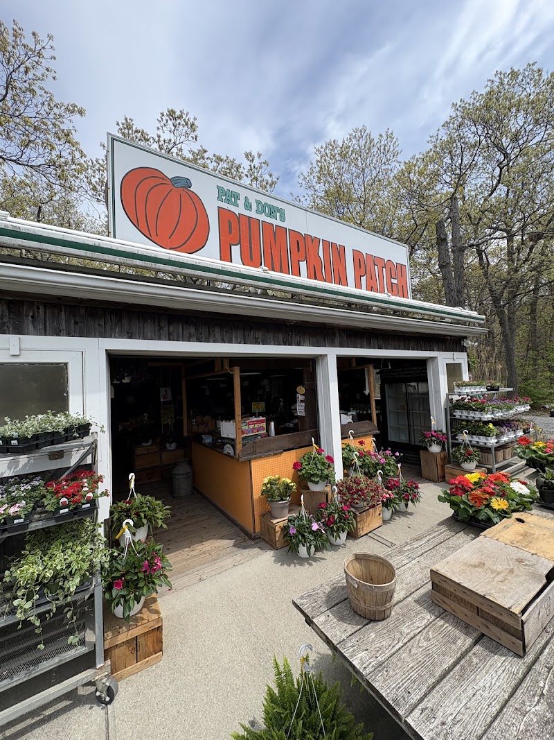 Pumpkin Patch Farm Stand photo 4