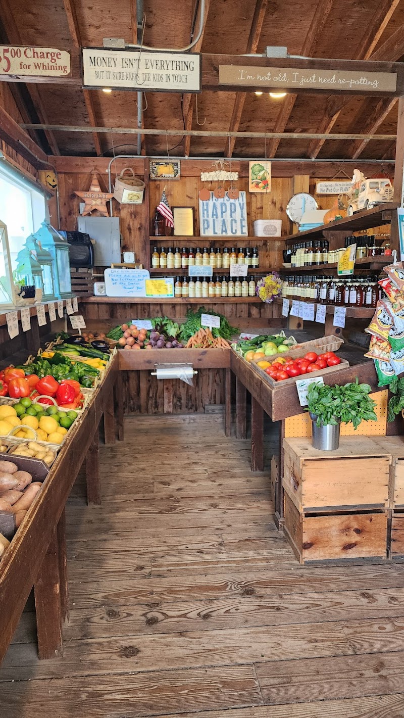 Pumpkin Patch Farm Stand photo 5