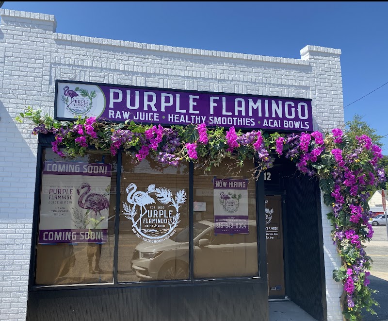 Purple Flamingo photo 1