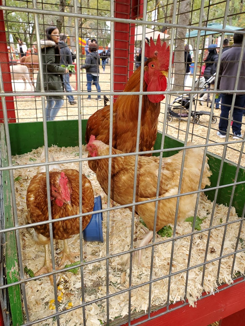 Queens County Farm Museum photo 5