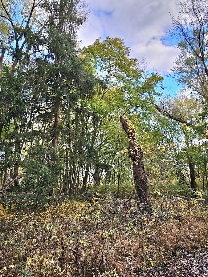 Quinnipiac River State Park photo 4