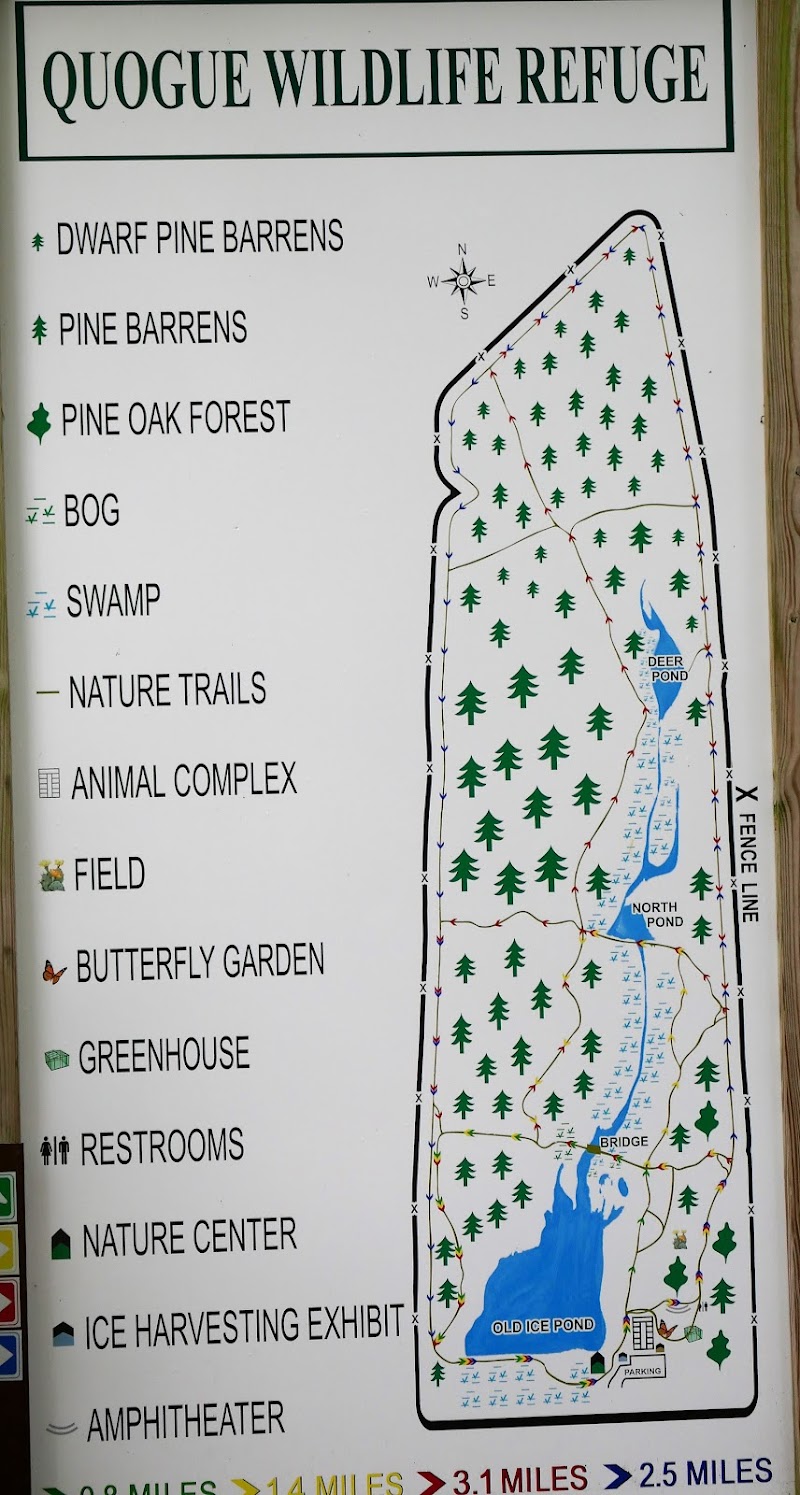 Quogue Wildlife Refuge photo 3