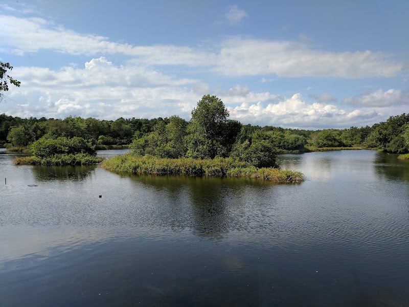Quogue Wildlife Refuge photo 4