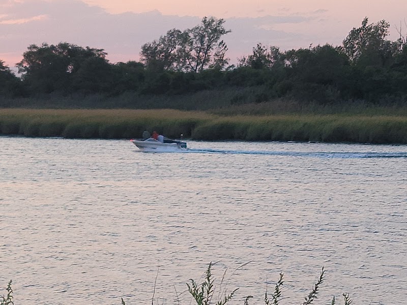 Recreation & Parks Department photo 3