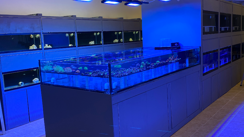 Reef Shark Aquarium Inc photo 2