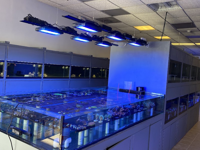 Reef Shark Aquarium Inc photo 3