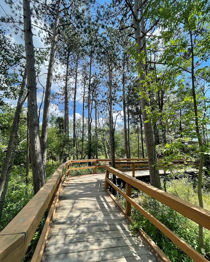 Reinstein Woods Nature Preserve photo 2