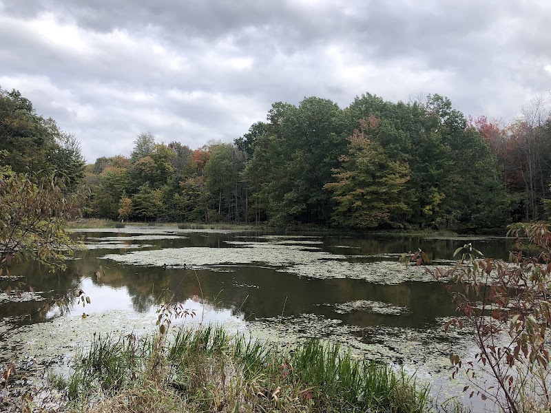 Reinstein Woods Nature Preserve photo 3