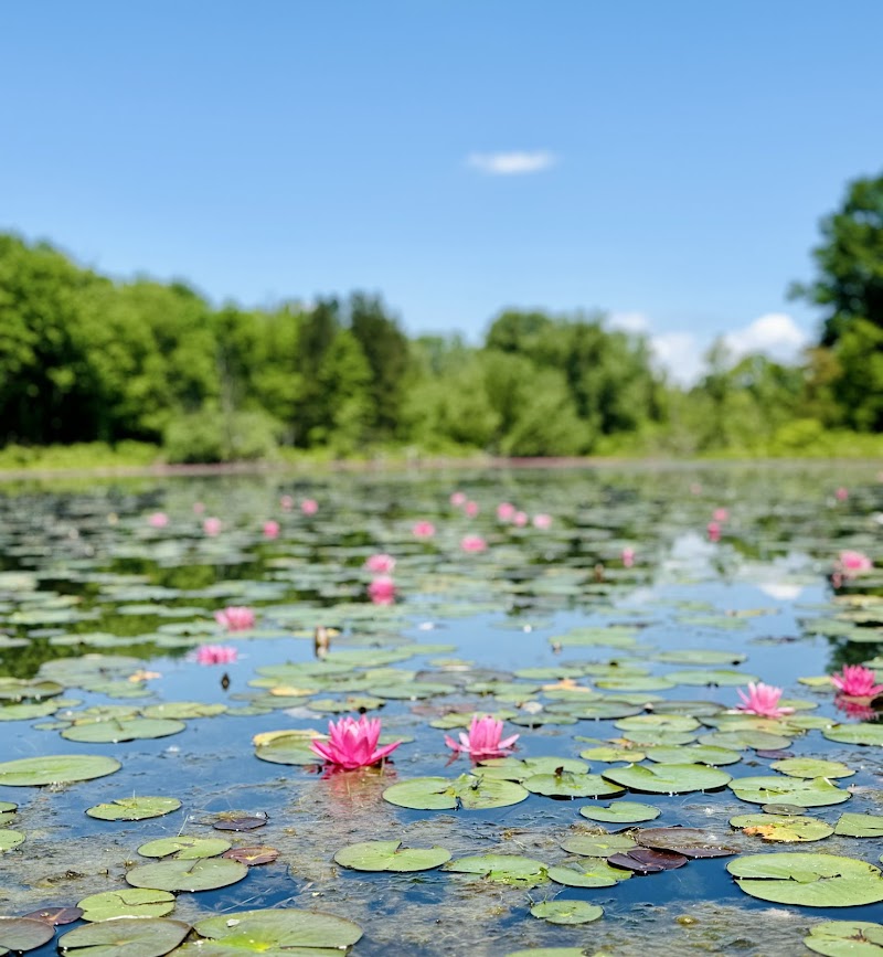 Reinstein Woods Nature Preserve photo 4