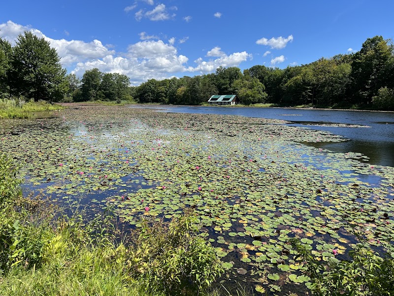 Reinstein Woods Nature Preserve photo 5