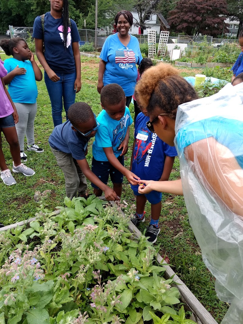 Reservoir Community Farm photo 2